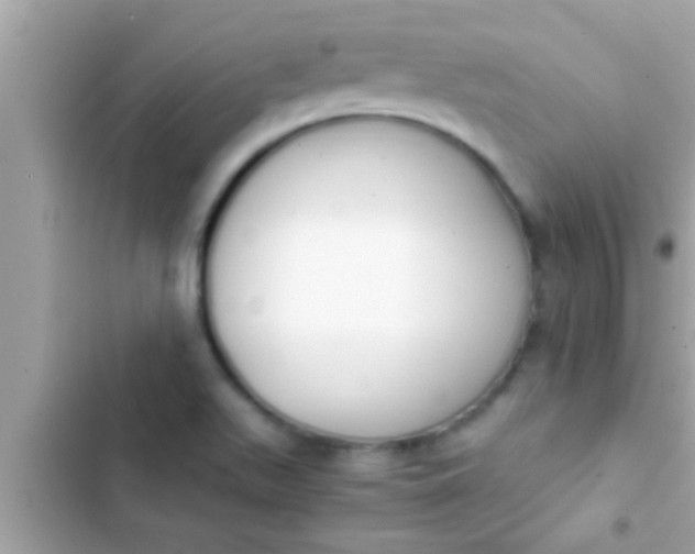 X0000102391511200808151909