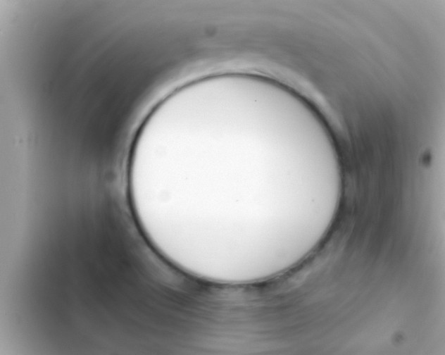 X0000102391512200808151909