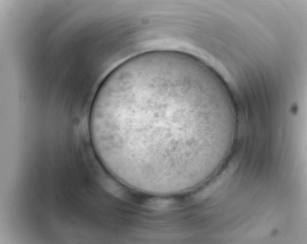 X0000102391513200808151909