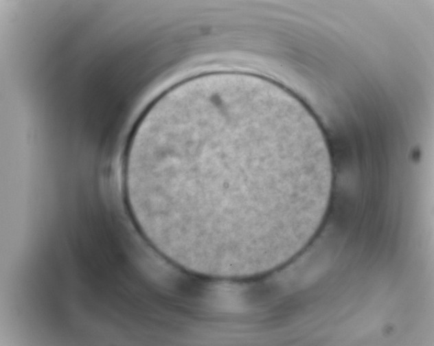 X0000102391514200808151909