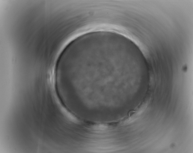 X0000102391515200808151909