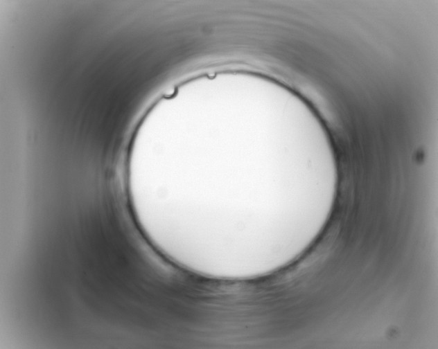 X0000102391516200808151909