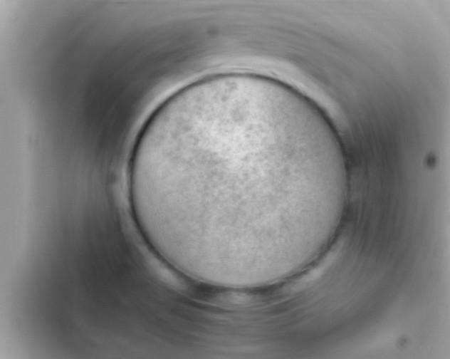 X0000102391517200808151909