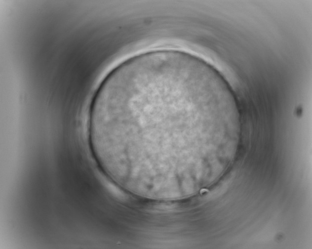 X0000102391519200808151909