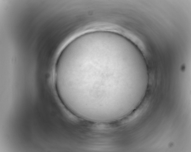 X0000102391520200808151909