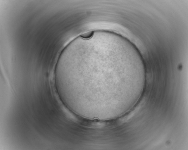 X0000102391521200808151909