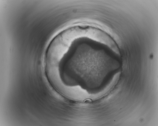 X0000102391522200808151909