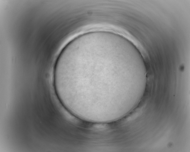 X0000102391523200808151909