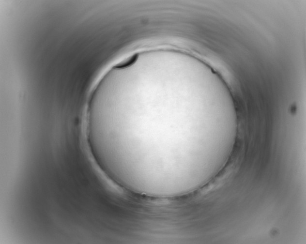 X0000102391524200808151909