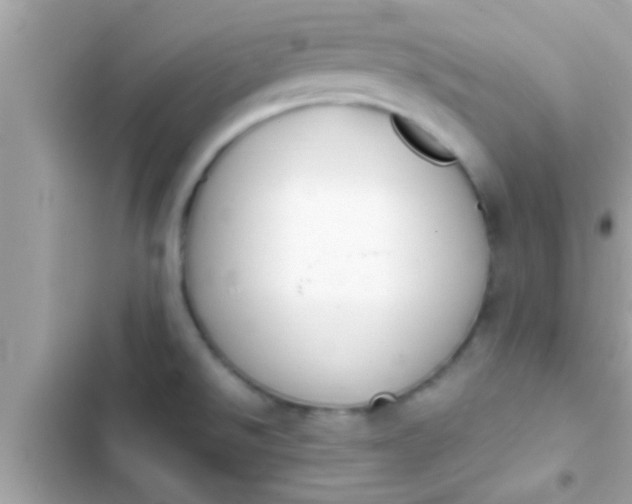 X0000102391526200808151909