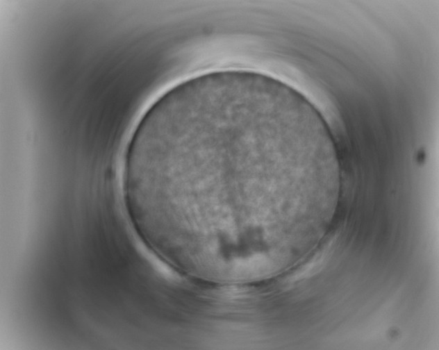 X0000102391527200808151909