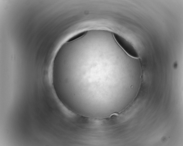 X0000102391528200808151909