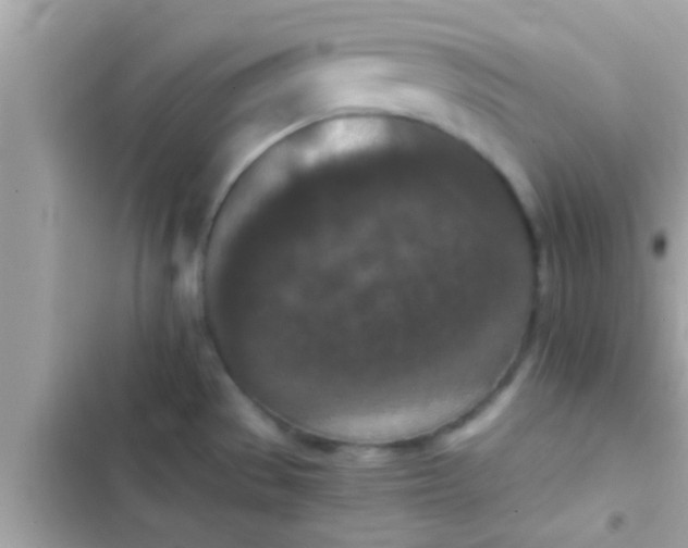 X0000102391529200808151909