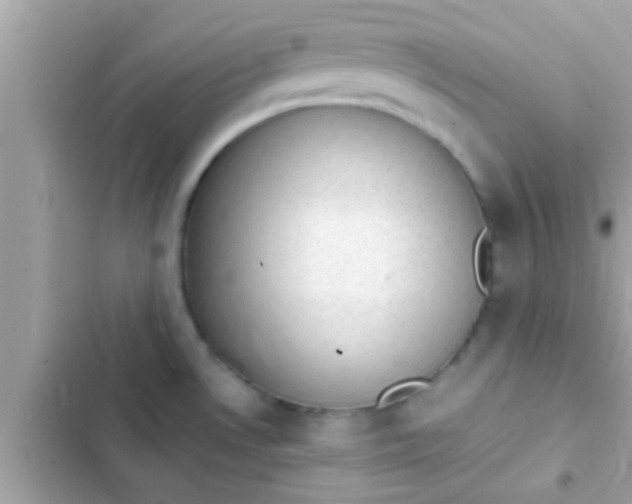 X0000102391530200808151909