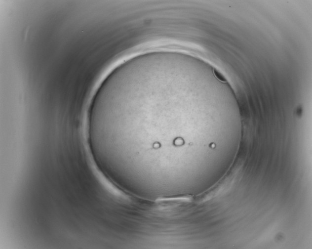 X0000102391531200808151909