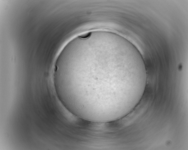 X0000102391532200808151909