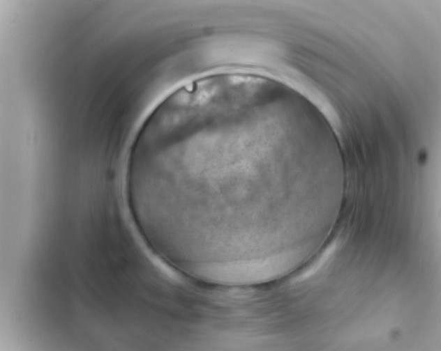 X0000102391533200808151909