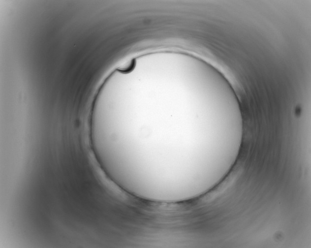 X0000102391534200808151909