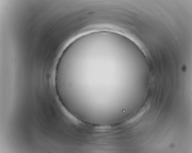 X0000102391535200808151909