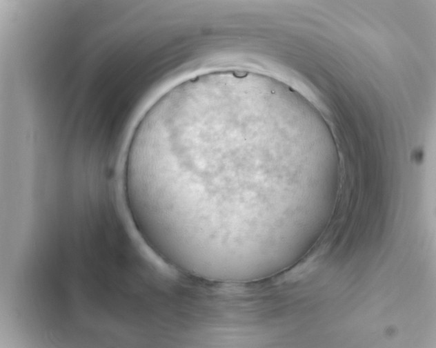 X0000102391536200808151909