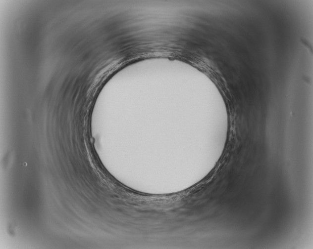 X0000102390001200808221836