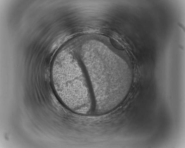 X0000102390002200808221836
