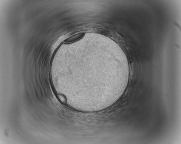 X0000102390003200808221836