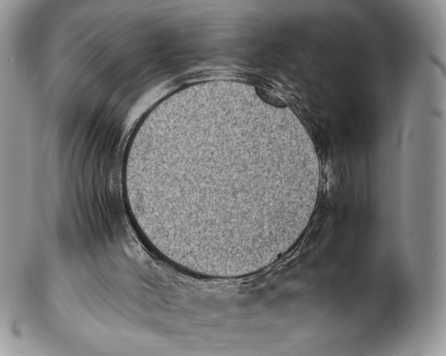 X0000102390004200808221836