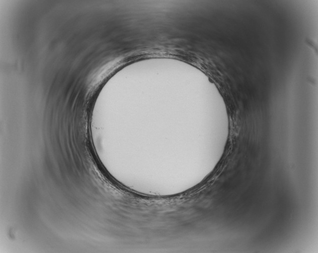 X0000102390005200808221836