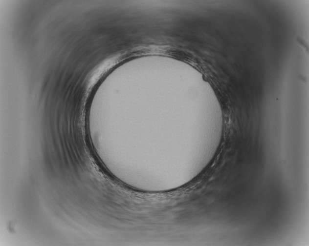 X0000102390006200808221836