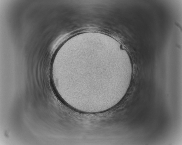 X0000102390007200808221836