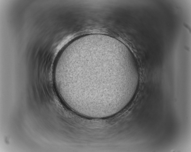 X0000102390008200808221836