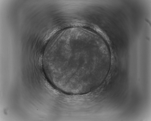 X0000102390009200808221836