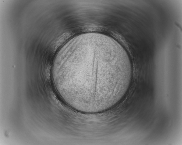 X0000102390010200808221835