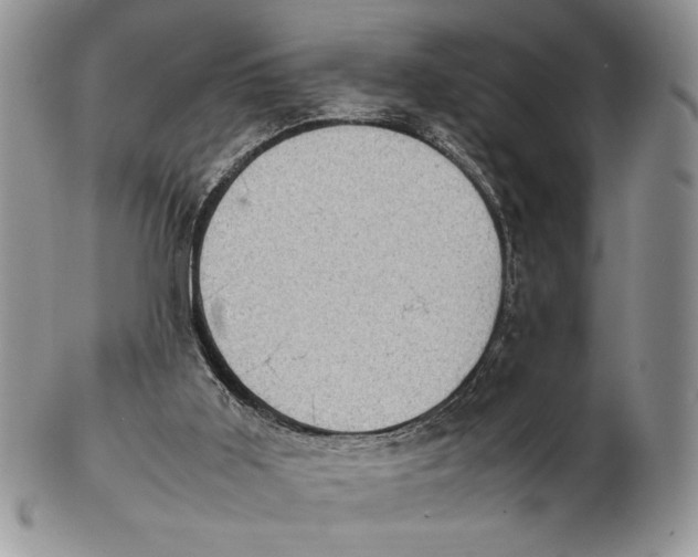 X0000102390011200808221835