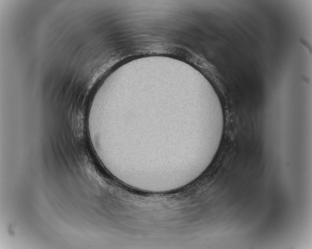 X0000102390012200808221835