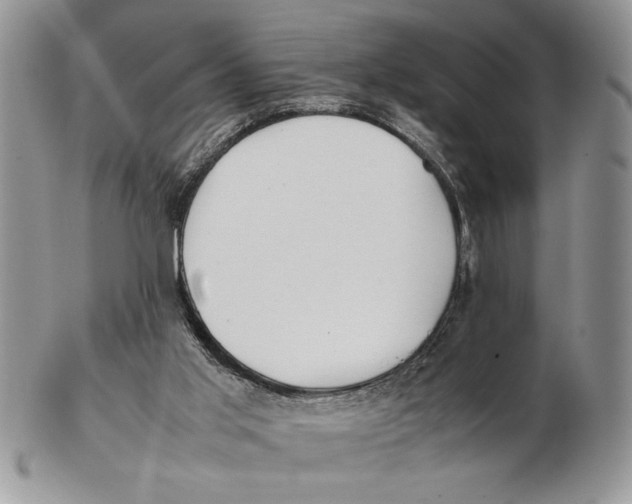 X0000102390013200808221835
