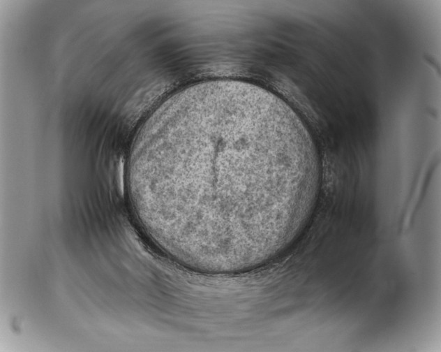 X0000102390014200808221835