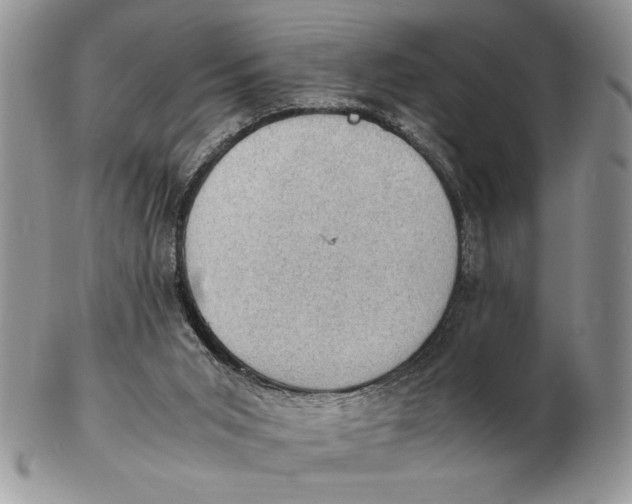 X0000102390015200808221835