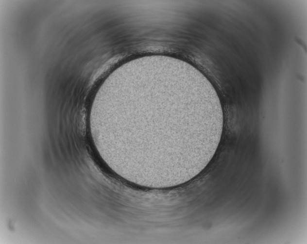 X0000102390016200808221835