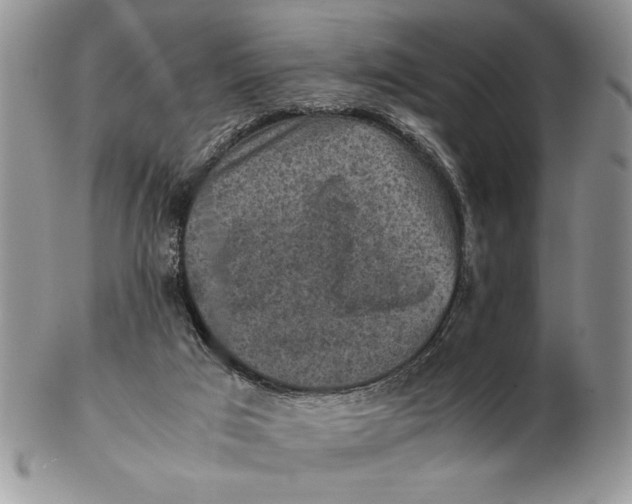 X0000102390017200808221835