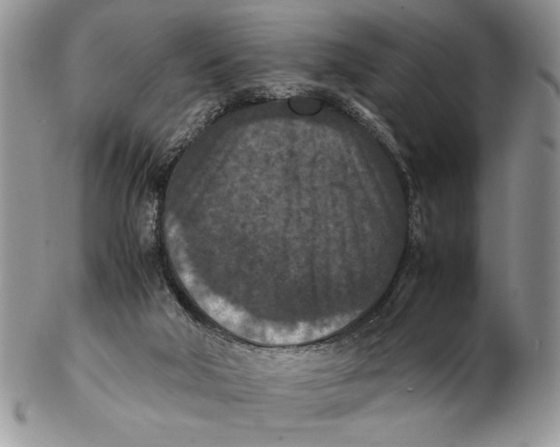 X0000102390018200808221835