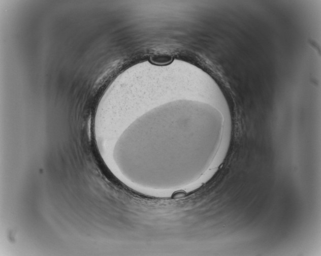 X0000102390019200808221835