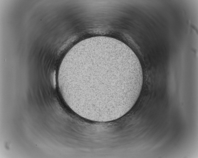 X0000102390020200808221835