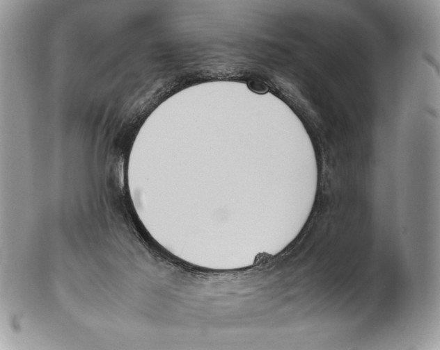 X0000102390021200808221835
