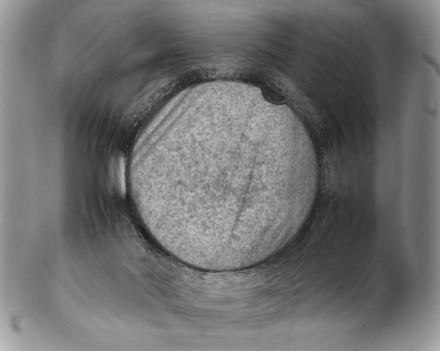 X0000102390022200808221835
