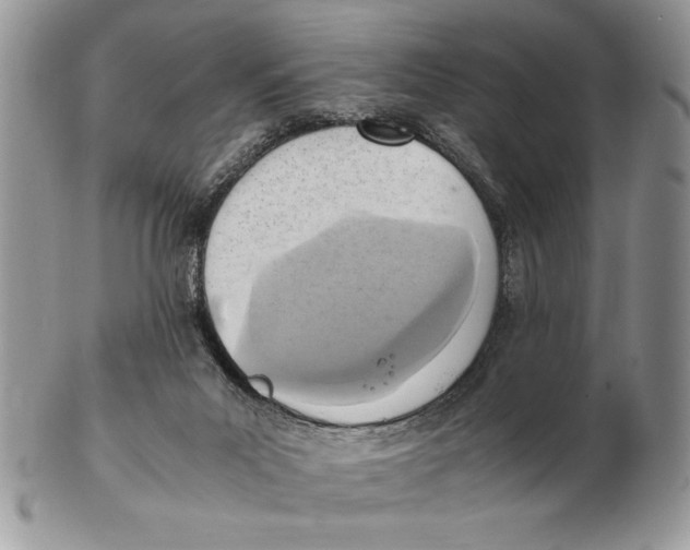 X0000102390023200808221835