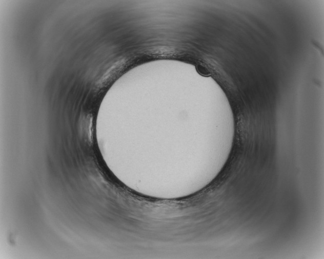 X0000102390024200808221835