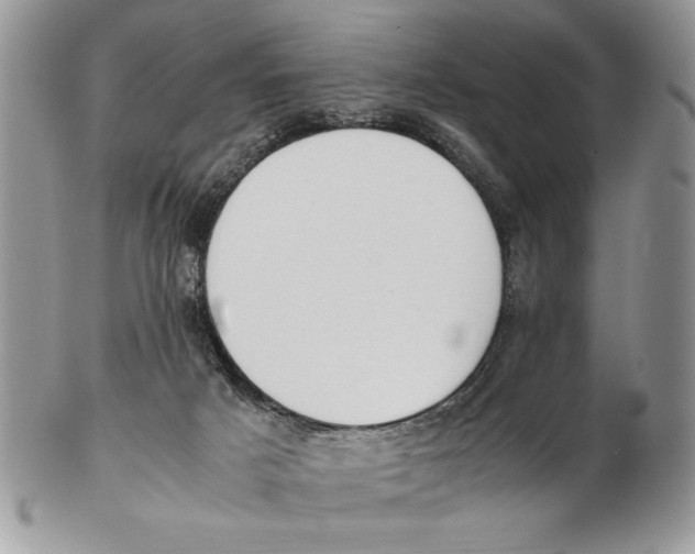 X0000102390025200808221835