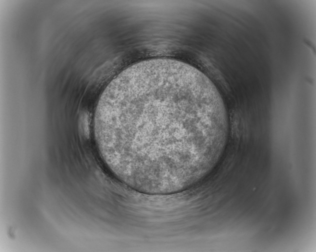 X0000102390026200808221835
